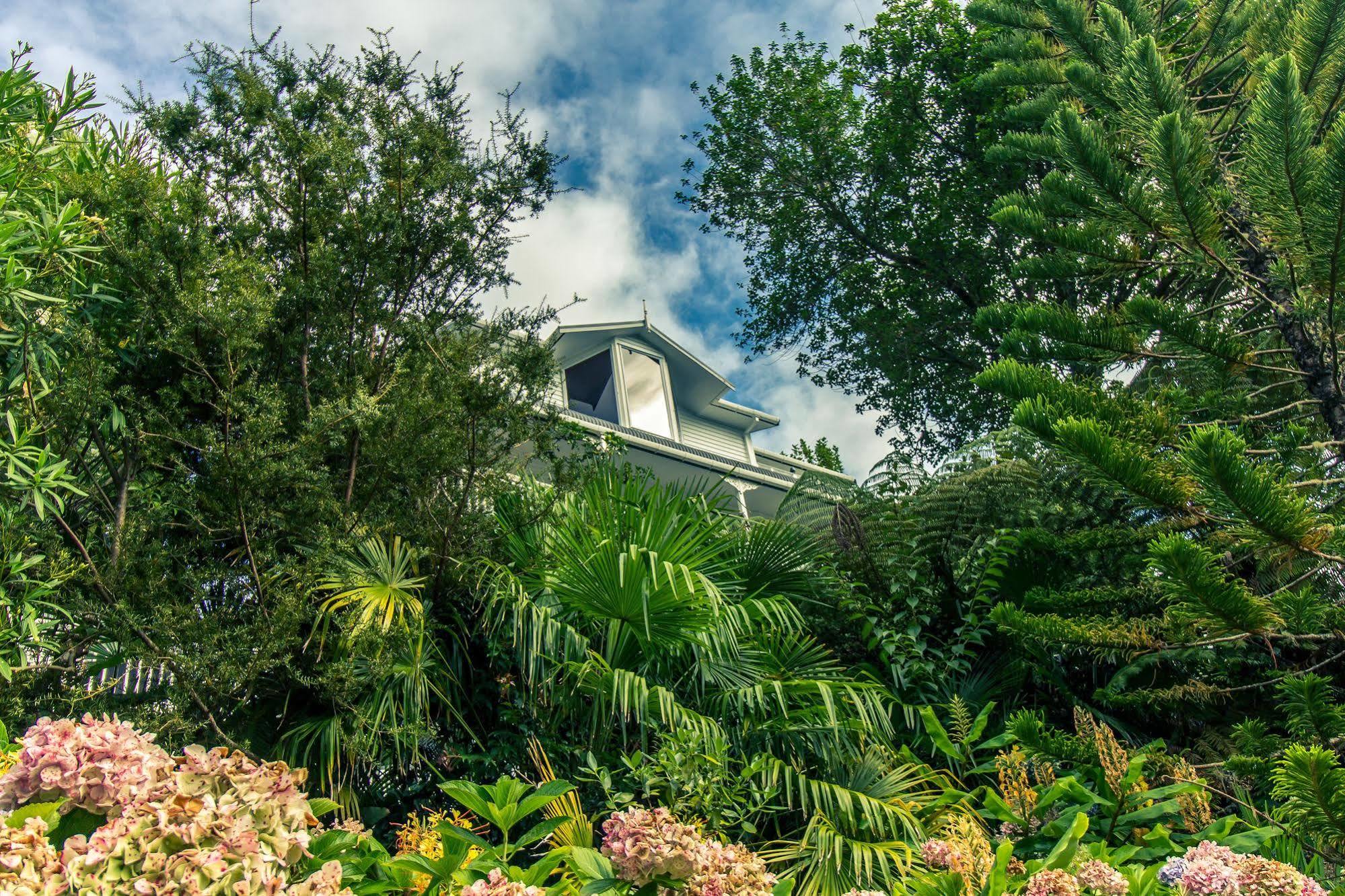 Marlin House Bed & Breakfast Paihia Exterior foto